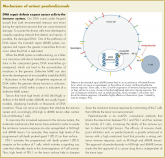 Pembrolizumab for dMMR/MSI-H tumors marks first tumor agnostic FDA approval
